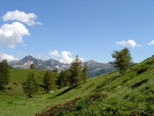 Le parc national du Mercantour et ses paysages de rêve vous offriront un dépaysement garanti.