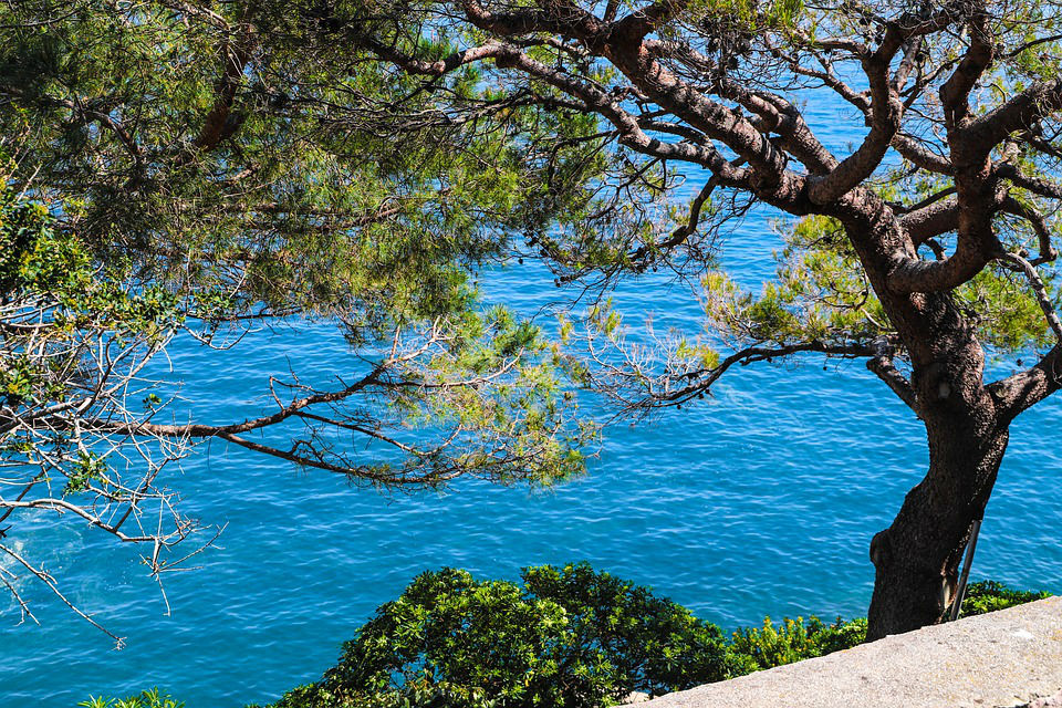Six reasons to invest in real estate on the Côte d’Azur