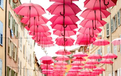 Investir dans un terrain à Grasse, au cœur de la Provence